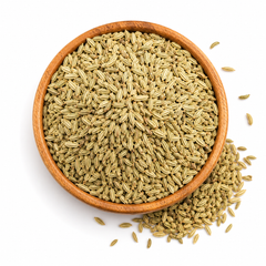 Irani Seeds